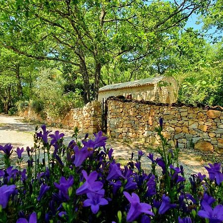 Le Donjon Des Combes Et Son Spa Fayence Exterior photo